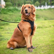 True Love Suya Dayanıklı Nefes Alabilen Kahverengi Köpek Ayakkabısı