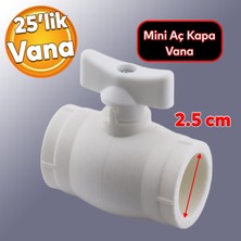 Badem10 Mini Vana Plastik 25'lik Küresel Pprc Pvc Vanası Dişsiz Aç Kapa Boru Kaynak Makine Bağlantılı