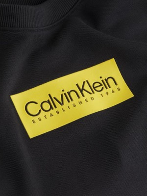 Calvin Klein Sweatshırt