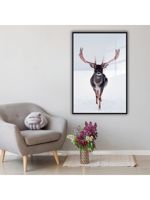 Metal Çerçeveli Temperli Cam Tablo Karşıdan Geyik Portresi