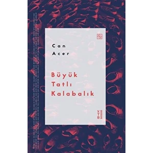 Büyük Tatlı Kalabalık - Can Acer