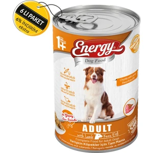 Pet Food Energy Dog Food Energy Kuzu Etli Yetişkin Islak Köpek Maması 400 gr Özel Koli 6 Adet