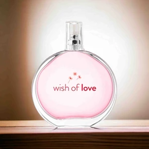 Wish Of Love