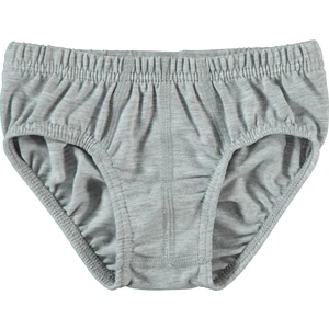 Civil Boys Erkek Çocuk 2'li Külot Set 2-10 Yaş Gri-Beyaz