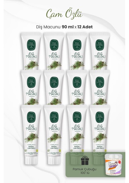 Çam Özlü Diş Macunu 90 ml x 12 Adet ve Kulak Çubuğu