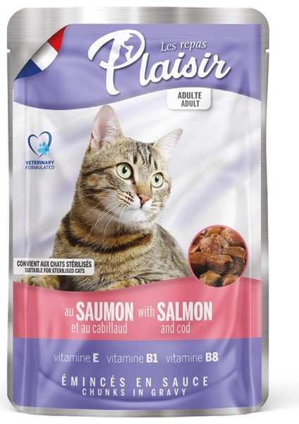 Pouch 100 gr Somon morina Etli 12 Adet Kedi Maması