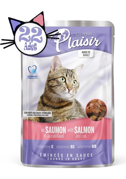 Pouch 100 gr Somon morina Etli 22 Adet Kedi Maması