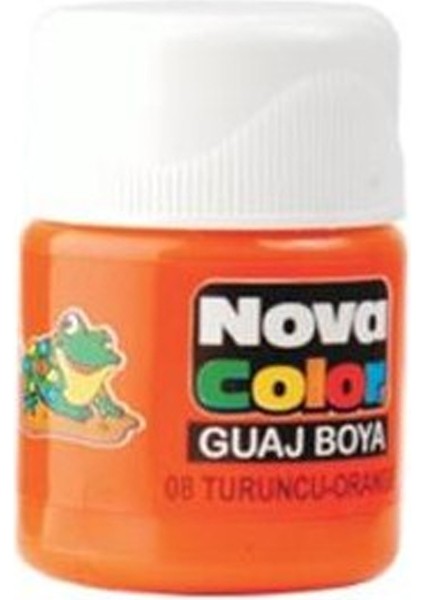 Nova Color Nova Guaj Boya Turuncu Şişe NC-110 12'li