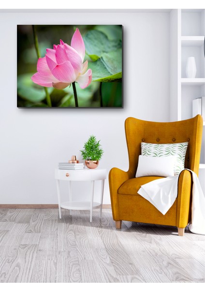 Tomurcuk Lotus Kanvas Tablo