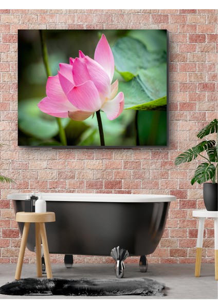 Tomurcuk Lotus Kanvas Tablo fiyatları