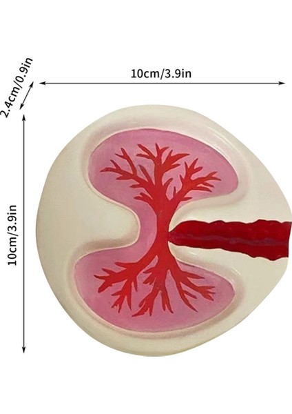 Şekli Küllük Tablası Kırmızı Komik Küllük Masaüstü Ev Dekorasyonu (Yurt Dışından) indirimleri