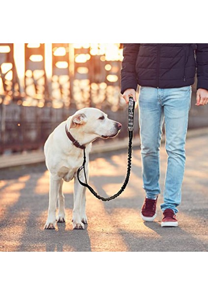 1 Adet Köpek Tasması-Tek Halat-Lakelan (Yurt Dışından)