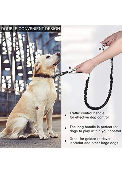 1 Adet Köpek Tasması-Tek Halat-Lakelan (Yurt Dışından)