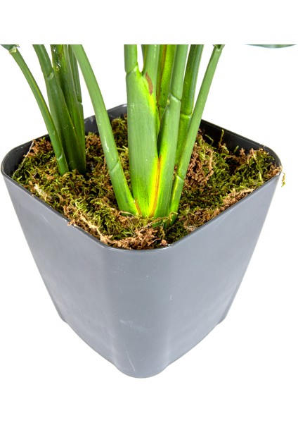 Saksıda Yapay Ağaç Starliçe Gerçek Dokulu 15 Yaprak Yeşil 63 Cm.