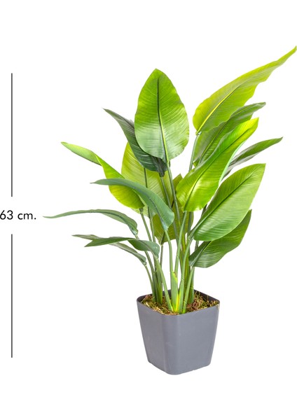 Saksıda Yapay Ağaç Starliçe Gerçek Dokulu 15 Yaprak Yeşil 63 Cm.