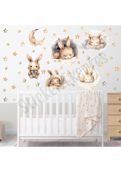 Uyuyan Sevimli Tavşanlar Çocuk Odası Duvar Sticker Seti