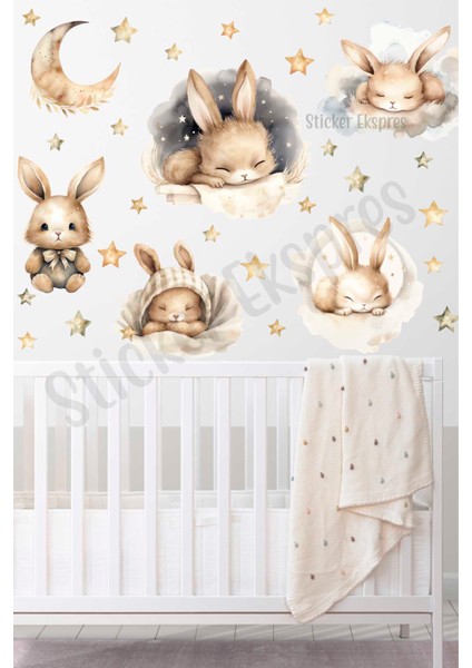 Uyuyan Sevimli Tavşanlar Çocuk Odası Duvar Sticker Seti