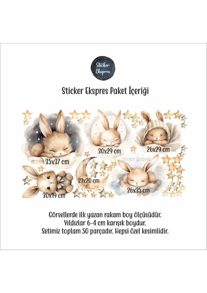 Uyuyan Sevimli Tavşanlar Çocuk Odası Duvar Sticker Seti