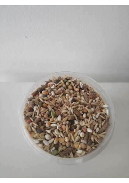 GoldMind 10Kg Mix Karışım Kemirgen Yemi. (Peletsiz) 10kg (15 Karışım )