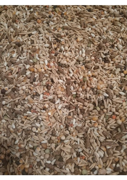 GoldMind 10Kg Mix Karışım Kemirgen Yemi. (Peletsiz) 10kg (15 Karışım )