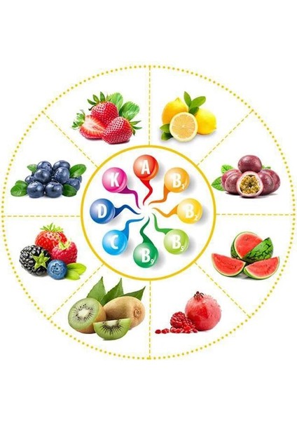 Gümüş Tarzı Alüminyum Alaşımlı Manuel Işlemci Suyu Sıkacağı El Basıncı Portakal Sıkacağı Nar Limon Meyve Sıkacağı Mutfak Aksesuarları (Yurt Dışından) fırsatları