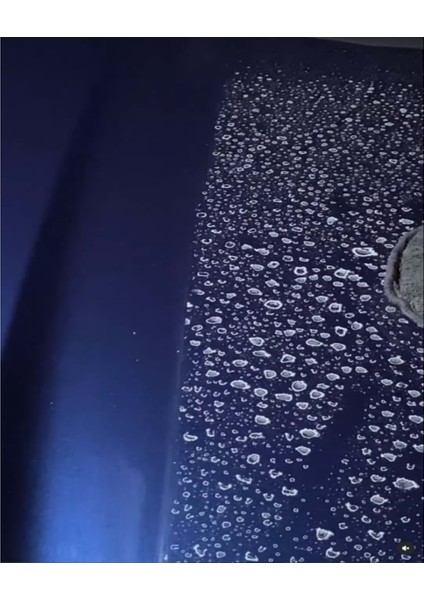 %100 Scale Su Izi Temizleyici Kireç Çözücü ve Önleyici Konsantre - 4,54 Lt fırsatları