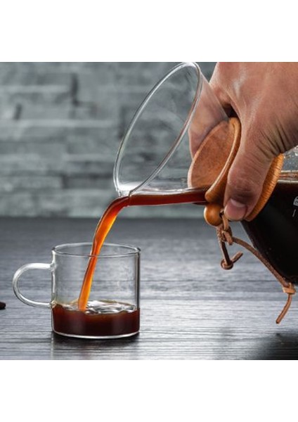 200ML Filtre Tarzı ile Borosilikat Camlı Kahve Makinesi Üzerine Dökün Manuel Kahve Damlatıcı Demleyici H99F (Yurt Dışından)
