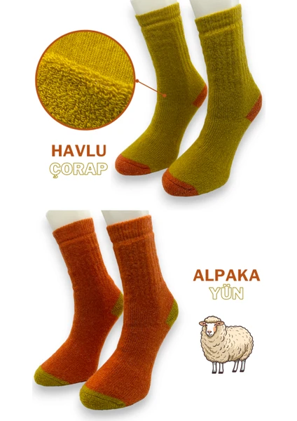 Ciho Socks Premium 2 Çift Kadın Alpaka Yünlü Yumuşak Yıkamalı Norveç Tipli Termal Soket Çorap