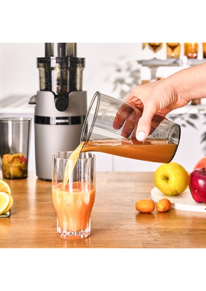 Slow Juicer Yavaş Sıkım Katı Meyve Sıkacağı