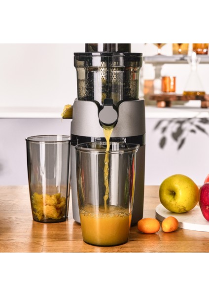 Slow Juicer Yavaş Sıkım Katı Meyve Sıkacağı