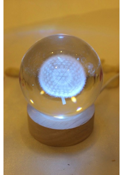 3D LED Işık Cam Küre Çok Işıklı Ahşap Hindiba Çiçeği fiyatları