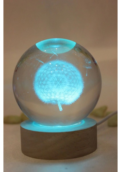 3D LED Işık Cam Küre Çok Işıklı Ahşap Hindiba Çiçeği modelleri