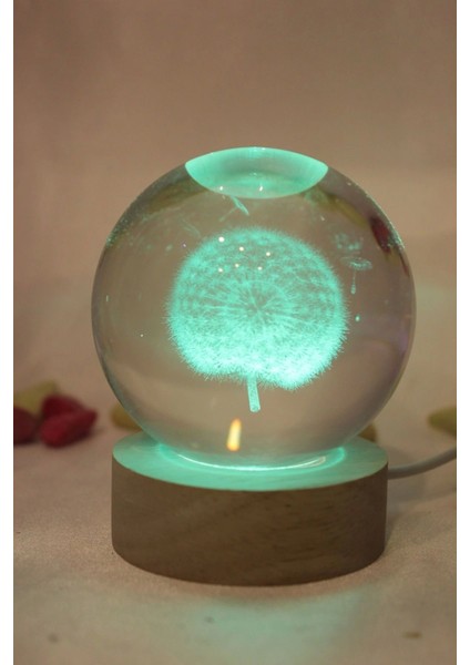 3D LED Işık Cam Küre Çok Işıklı Ahşap Hindiba Çiçeği fırsatları