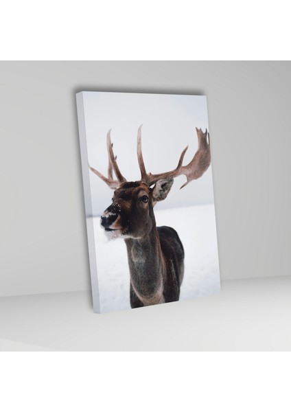 Tekli Dikey Kanvas Hayvan Tablosu Geyik Portresi fiyatları