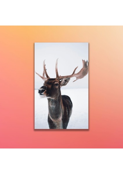 Tekli Dikey Kanvas Hayvan Tablosu Geyik Portresi modelleri