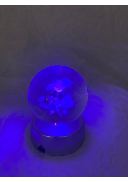3d Led Işık Cam Küre Çiçek I Love You Pilli indirimleri