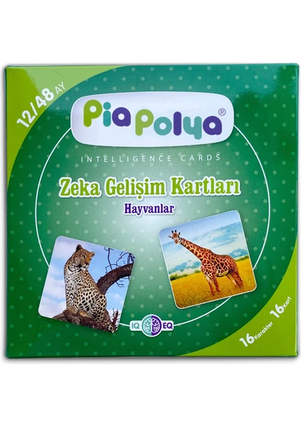 Pia Polya Zeka Gelişim Kartları | 16 Adet | Mukavva