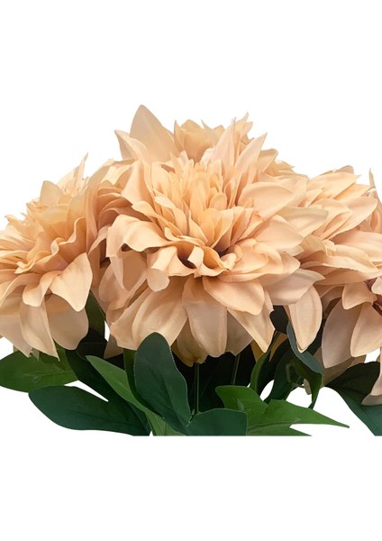 Rüzgar Yapay Çiçekçilik Pinnata Yıldız Çiçeği indirimleri