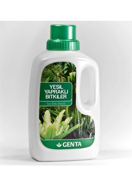 Salon Bitkisi Sıvı Besin 500 ml Yeşil Yapraklı Genta