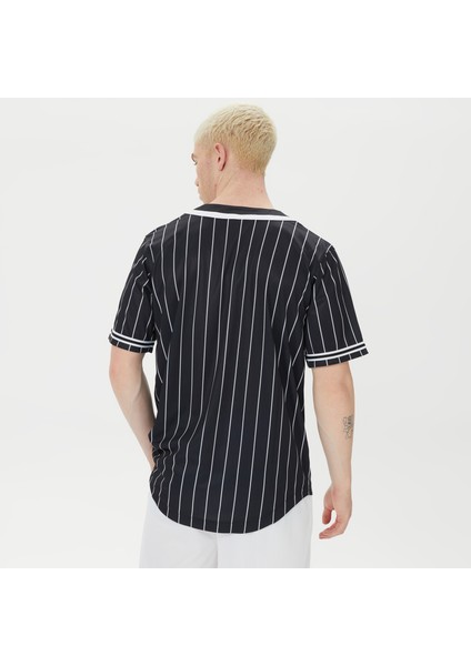 Serif Pinstripe Baseball.1 fiyatları
