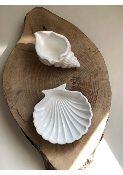 Deniz Kabuğu Ve Istiridye Set Beyaz