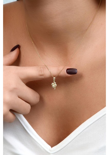 14 Ayar Altın Bombeli Çift Taraflı Mini Yonca Kolye Ucu fırsatları