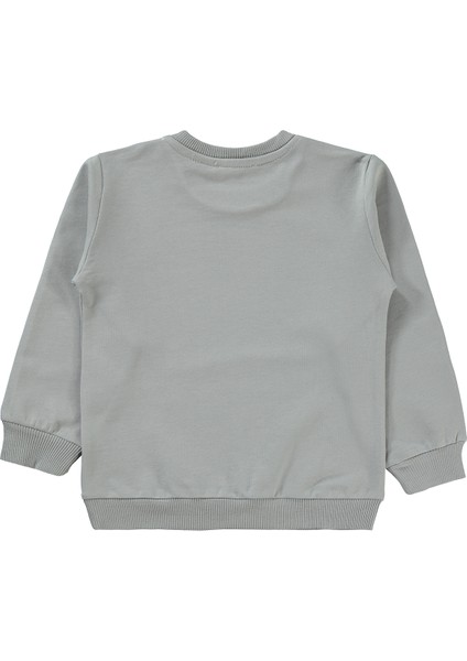 Erkek Çocuk Sweatshirt 2-5 Yaş Gri