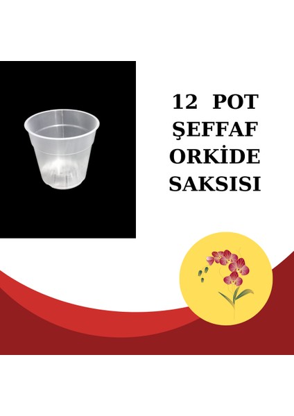 Cemre Botanik 12 Pot Şeffaf Orkide Saksısı ( 3 Adet)