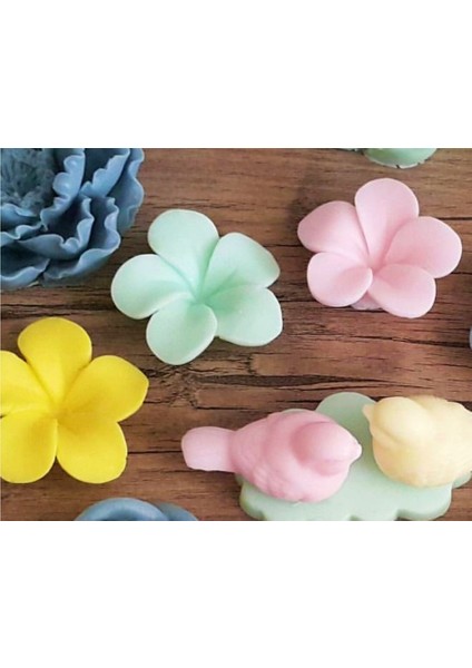 Frangipani Çiçeği 7,8cm Çiçek Silikon Kalıp K-705, Kokulu Taş Sabun Alçı Mum Kalıbı indirimleri