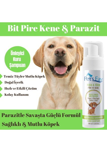 Pets Fav Köpek Bit Pire Kene ve Parazit Önleyici Kuru Köpük Şampuanı