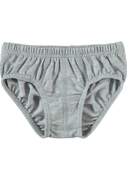 Erkek Çocuk 2'li Külot Set 2-10 Yaş Gri-Beyaz modelleri