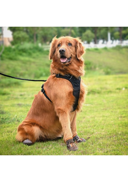 True Love Suya Dayanıklı Nefes Alabilen Kahverengi Köpek Ayakkabısı