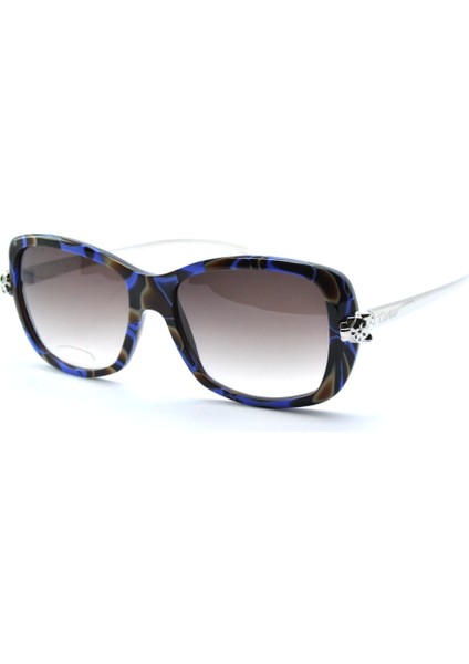 Blue Tortoise Shell Brown Gradient