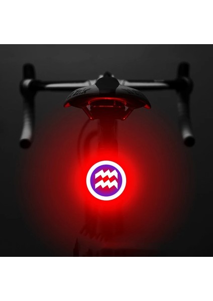 Kova Tarzı USB Şarj Edilebilir Bisiklet Arka Lambası 10 Lümen Çift Flaş Modu Mtb Işığı Gece Sürüşü Kurulumu Kolay Bisiklet Arka Lambası (Yurt Dışından)